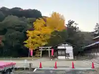 高良神社(京都府)