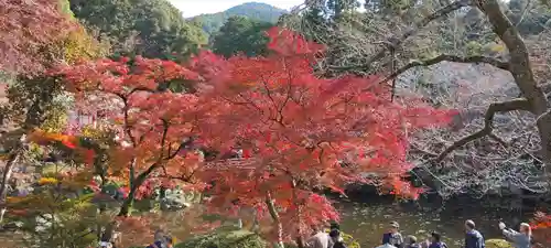 醍醐寺(京都府)