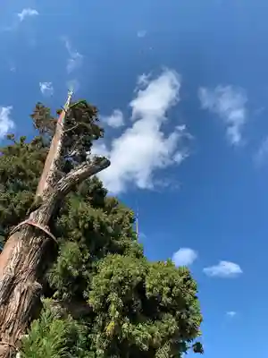 吉備津彦神社(岡山県)