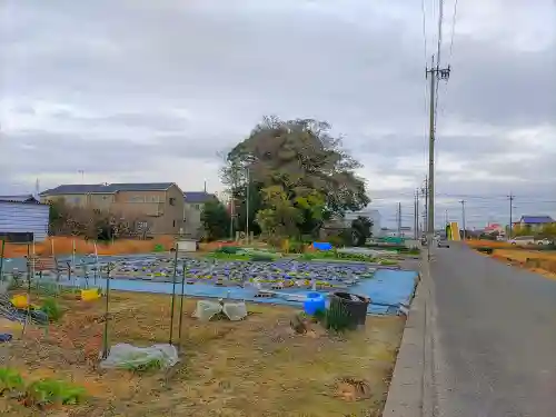 三躰社（宇治町）の自然