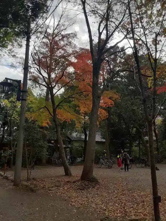 深大寺(東京都)