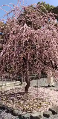 城南宮(京都府)