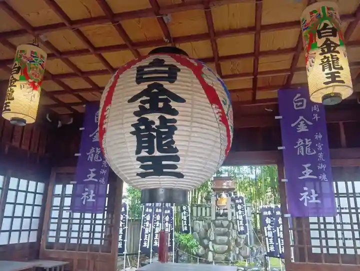 白金龍王社(愛知県)