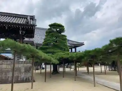 本福寺(滋賀県)