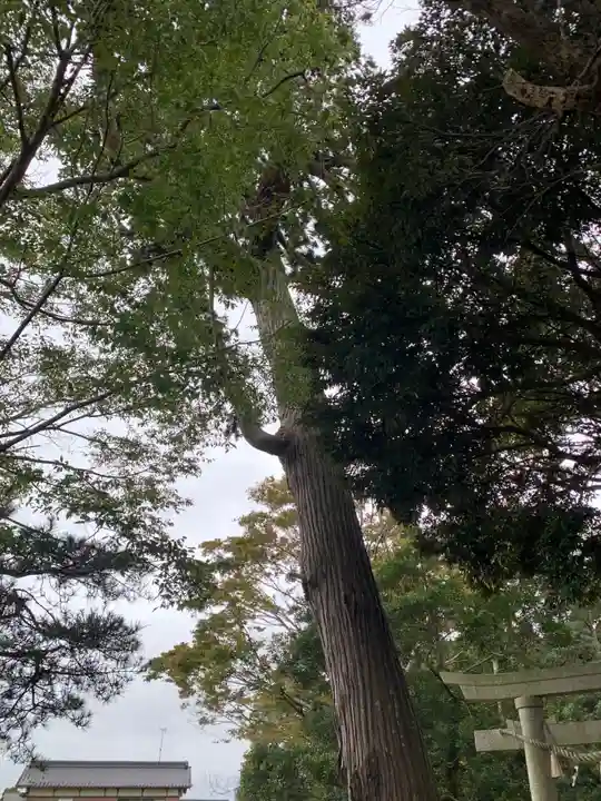 稲生神社(千葉県)