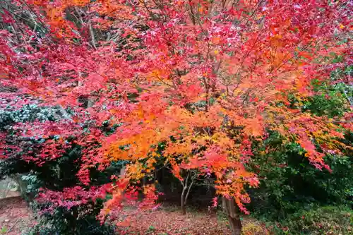 鹿島大神宮(福島県)