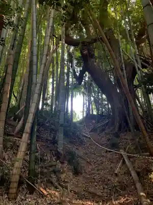 浅間社(千葉県)