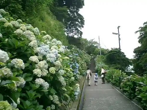 成就院の芸術