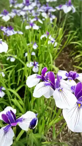 賀茂神社(愛知県)