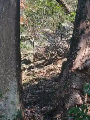稲荷神社(借宿町)(栃木県)