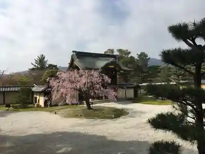 大覚寺の本殿・本堂