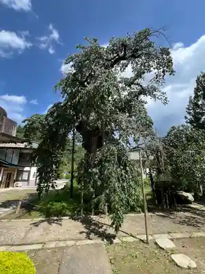 愛蔵寺(福島県)