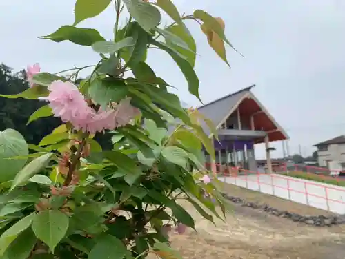 船玉神社(茨城県)