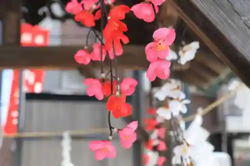 阿邪訶根神社の手水