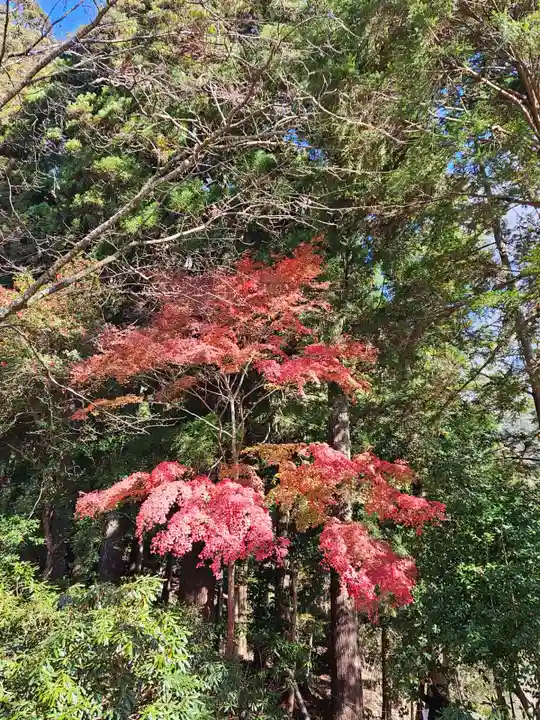 室生寺(奈良県)