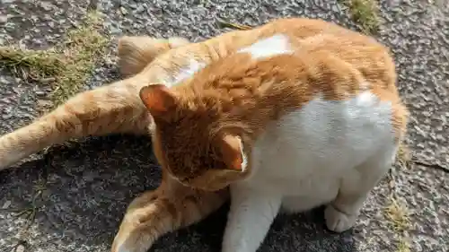 乗願寺(京都府)