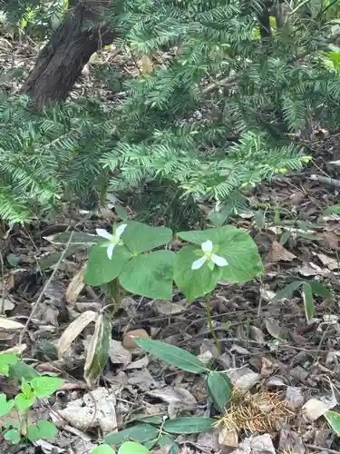 端野神社(北海道)