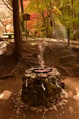 十輪寺(京都府)