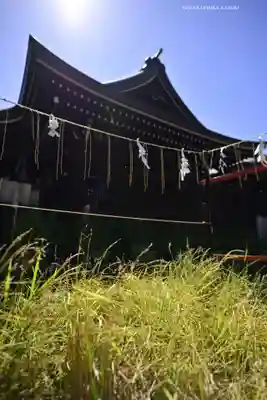 磐井神社(東京都)