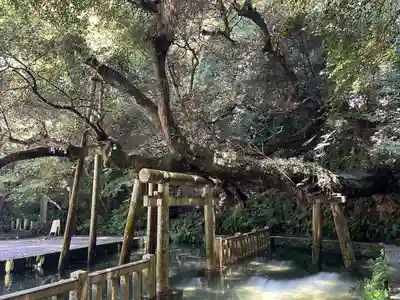 鹿島神宮(茨城県)
