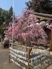 貴船神社の自然