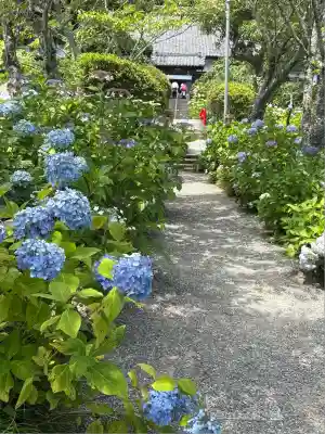 極楽寺(静岡県)