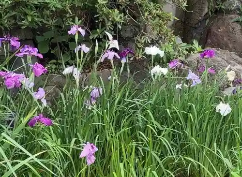 時宗総本山 遊行寺（正式：清浄光寺）(神奈川県)