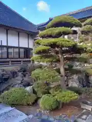 真城寺(岩手県)