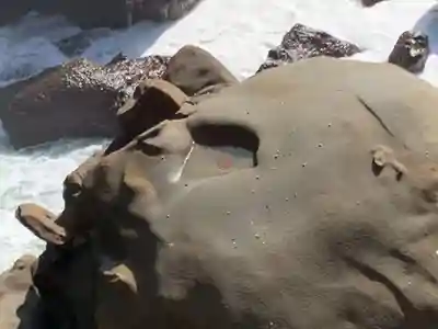 鵜戸神宮(宮崎県)