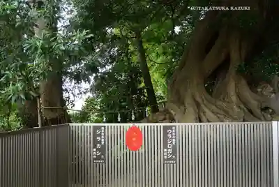 春日神社(神奈川県)