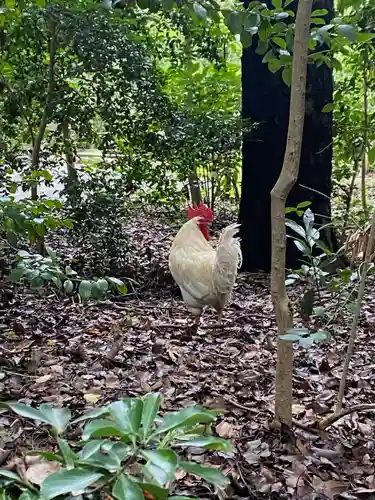 熱田神宮(愛知県)