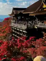 清水寺(京都府)