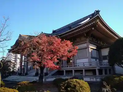孝勝寺の本殿・本堂