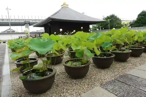 喜光寺のその他建物