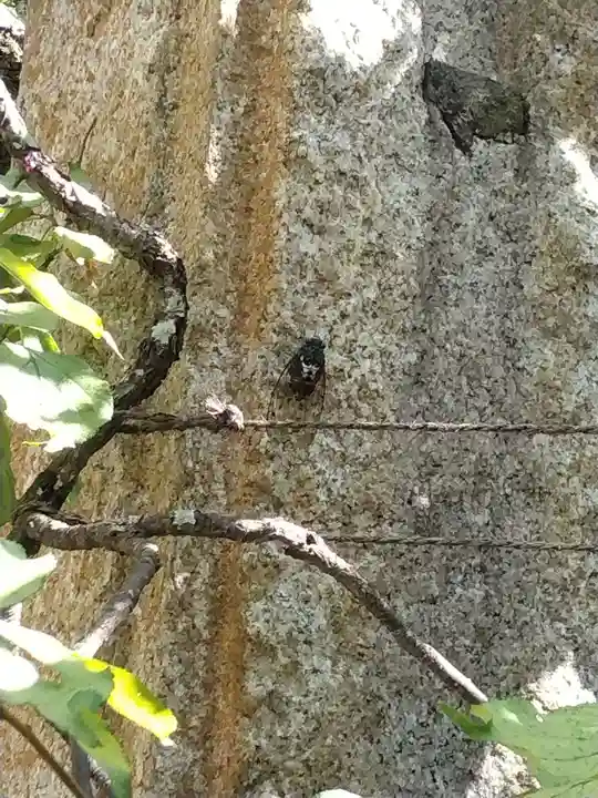 宝戒寺(神奈川県)