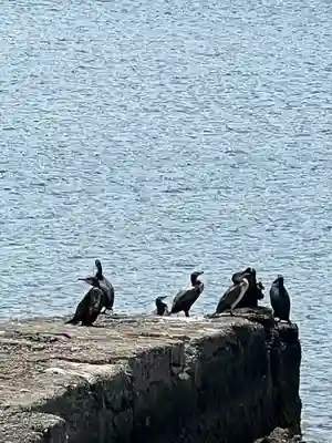 叶神社（東叶神社）(神奈川県)