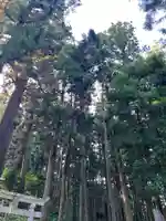 大宮温泉神社(栃木県)