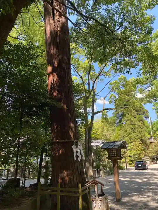 石上神宮(奈良県)