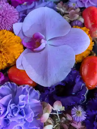 成田山深川不動堂（新勝寺東京別院）(東京都)