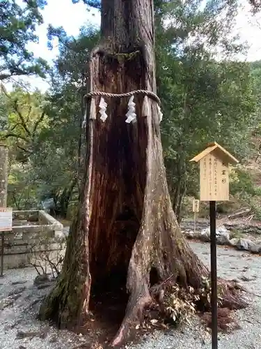 丹生川上神社（中社）(奈良県)