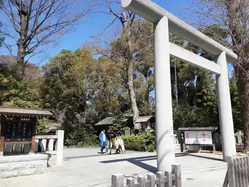 阿佐ヶ谷神明宮(東京都)