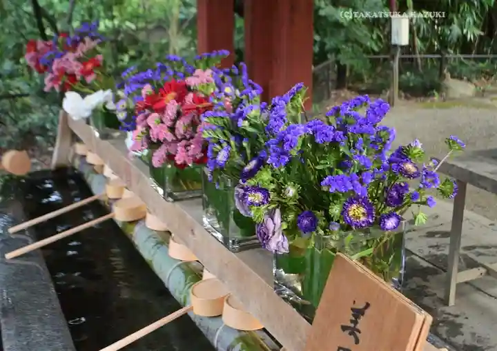 武蔵一宮氷川神社(埼玉県)