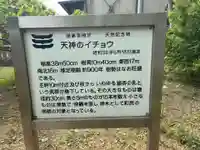 天満神社(徳島県)