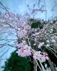 滑川神社 - 仕事と子どもの守り神の周辺