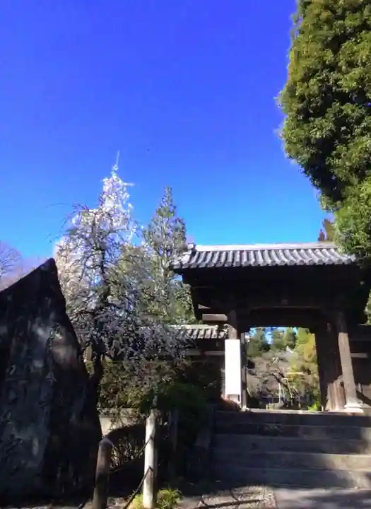 東長谷寺 薬王院(東京都)
