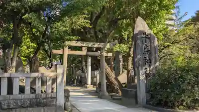 牛嶋神社の鳥居