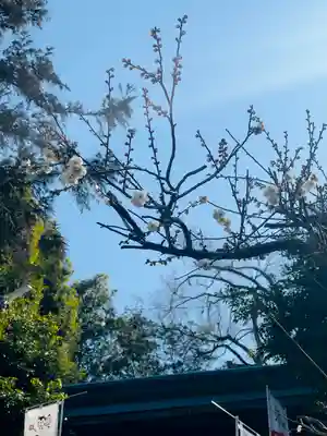 永谷天満宮(神奈川県)