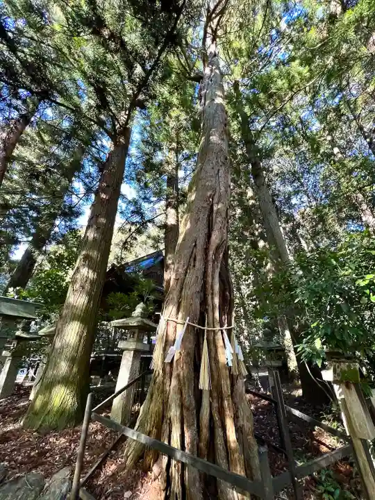 大宮熱田神社の自然