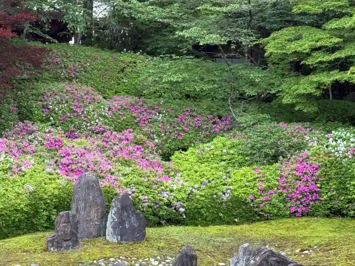 光明院(光明禅院)(京都府)