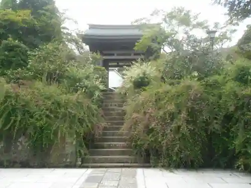 海蔵寺の山門